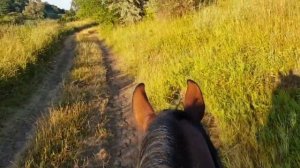 Дорога в поля. Что можно увидеть в 5 утра по дороге в поля? Верхом на лошади.