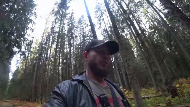 Одна фотоловушка хорошо, а две лучше смотреть онлайн