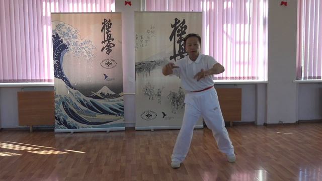 Школа Ицюань-208 / Yiquan School / Цзянь У - Естественные движения от сердца / Мастер Яо Ченжун