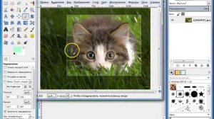 Инструменты Кадрирование, Вращение и Масштабирование в программе GIMP