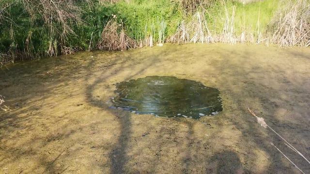 Корсар 50000 в Вонючем Озере _ Korsair 50000 in The Sewers смотреть онлайн