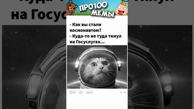 Мемы и котики с озвучкой #мемыскотами #мемыдня #мемы #котики #мемытут