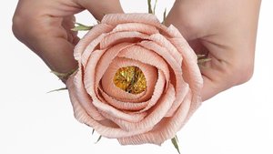 Нежные розы из гофрированной бумаги. Розы из конфет пошаговый видео мастер-класс