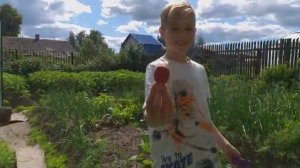 Diana and Nik collect strawberries. Тhe first harvest. Диана с Никитой собирают клубнику.