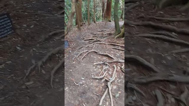 108 м до места медитации Микао Усуи смотреть онлайн