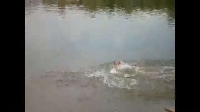 Царицынский пруд.Не ныряй в незнакомых местах смотреть онлайн