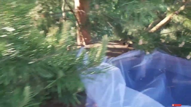 ВОЛК НА ДАЧЕ смотреть онлайн