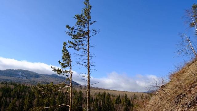 River Nura. Russia, Bashkortostan/Река Нура. Башкирия