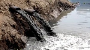 Проблема загрязнения воды