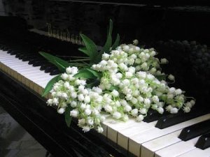 Акустические кабели из Китая