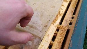 НЕТ КОРМОВ ЧТО ДЕЛАТЬ пчёлы в зиму