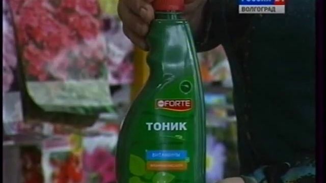 Как ухаживать за цветами,способными расти и в открытом грунте и как комнатные растения. смотреть онлайн