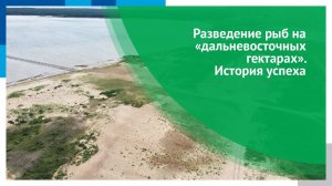 Разведение рыб на «дальневосточных гектарах». История успеха