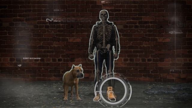 Обувь PATROL - Грубые снаружи, мягкие внутри! смотреть онлайн