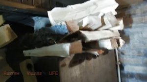 Как быстро высушить сырые дрова зимой