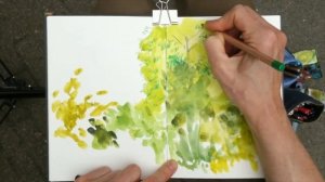 How to Draw Plants and Trees