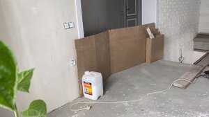 На обратной стороне листьев перца белые наросты.