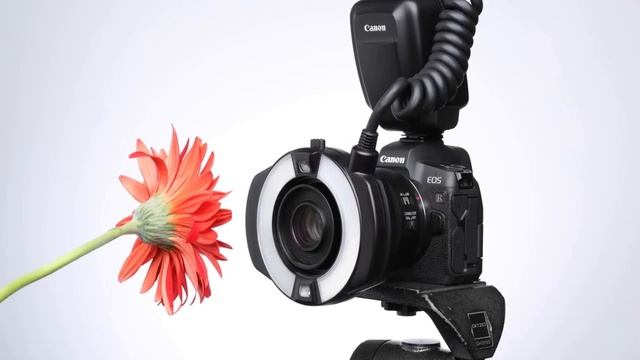 Canon EOS EF EF-S EF-M R System смотреть онлайн