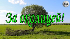 За околицей. Находки с металлоискателем. Что можно найти рядом с домом.