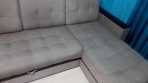 Химчистка дивана или КАК УДАЛИТЬ РАЗВОДЫ (БРЯНСК)