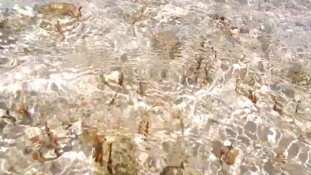 Бегающий моллюск смотреть онлайн