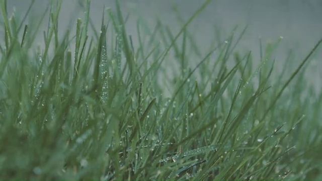 Путешествие в мир спокойствия: звуки дождя и пианино для сна и снятия стресса смотреть онлайн