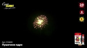 СС6600 2020