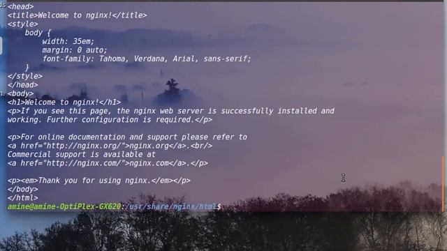 Linux Introduction To Nginx Web Server