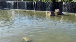 СЛУЧАЙНО РАСКРЫЛ ОТКРОВЕННУЮ ТАЙНУ ЖЕНЩИН. Жизненные реальные истории и интересные аудио рассказы.