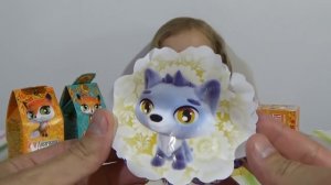 Лисичкины сказки коробочки с сюрпризом игрушкой распаковка Blind box with animal