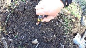 Коп с приборами ТХ-850 и Garrett ACE 250. Сухой паёк № 7 или ИРП