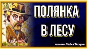 Полянка в лесу —Михаил Пришвин  — читает Павел Беседин