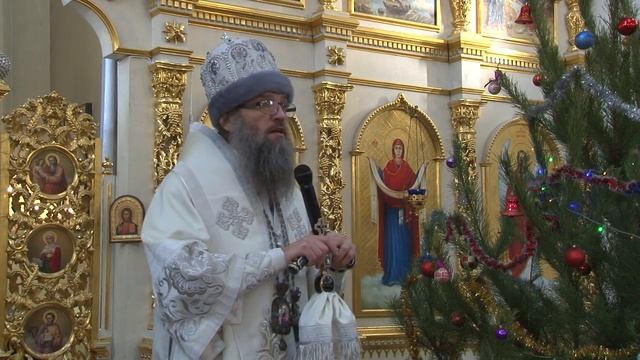 Праздник Крещения Господня. Слово Владыки Луки смотреть онлайн