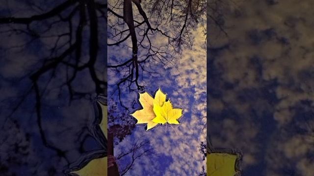 Глубинное общение. По материалам Свами Вишнудевананда Гири. смотреть онлайн