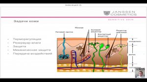 Sensitive Skin - программы интенсивной реабилитации кожи.