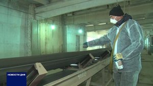 Защита зерна от вредителей