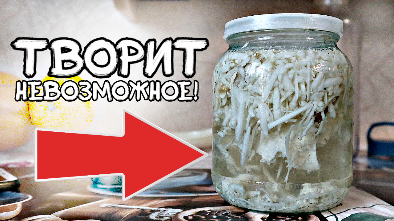 Сосед излечился от смертельного заболевания благодаря 1 ложке этого настоя в день! Польза гриба чага смотреть онлайн