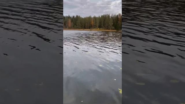 ПУТЁМ СИЛЫ: йога-ретрит на Валдае, Sabi club, 8-10 октября 2021