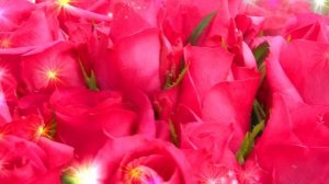 ??С Днём Рождения 5 Октября!?? Красивое Поздравление С Днём Рождения!???