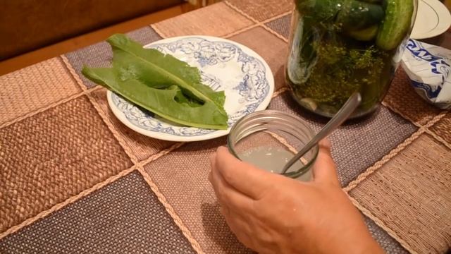 КАК ЗАСОЛИТЬ ОГУРЦЫ в банке НА ЗИМУ ЛЕГКО? ЗАСОЛКА ОГУРЦОВ холодным способом! Рецепт засолки огурцо