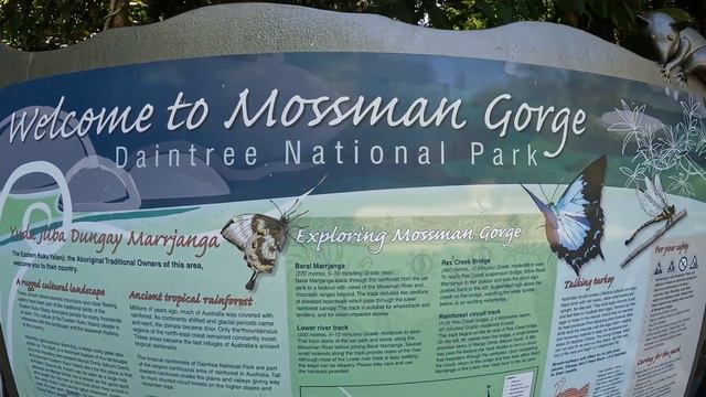 Ep 9. PALM COVE смотреть онлайн