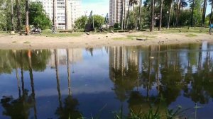 Экологическая прогулка