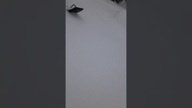 Бурлак А зимут,для тех кто не верит сколько снега. смотреть онлайн