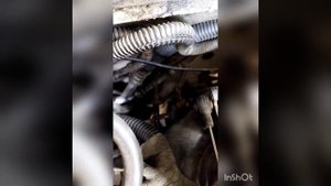 Промывка системы кондиционера форд фокус 1