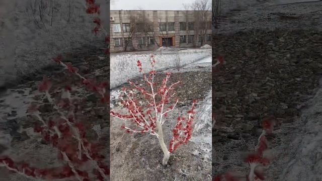 Весна покажет кто где гадил ? Обстановка на набережной Комсомольска на Амуре смотреть онлайн