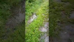 НСО,Станция Иня Восточная,"дорожноё покрытие"на ул.Переулок Логовой!