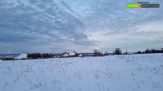 Гоша на свободном выгуле. Общаемся и отвечаю на вопросы. смотреть онлайн