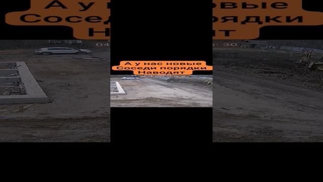 Появились новые соседи #дачныйучасток