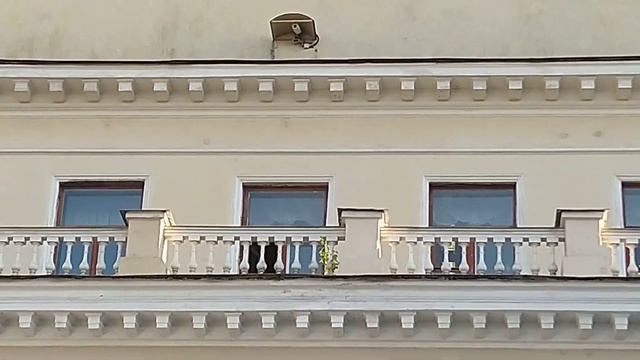 Жемчужина СПб смотреть онлайн