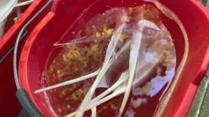 Как помыть перья!